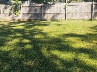 Rose D.'s Lawn Care service result