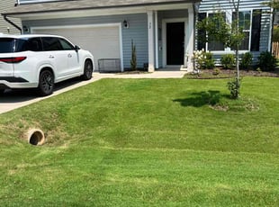 Tammy M.'s Lawn Maintenance service result