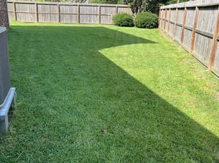 Paula C.'s Lawn Care service result