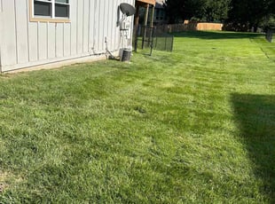 Jason E.'s Lawn Mowing service result