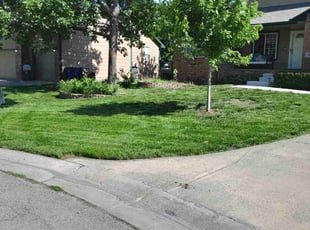 Ronni D.'s Lawn Care service result