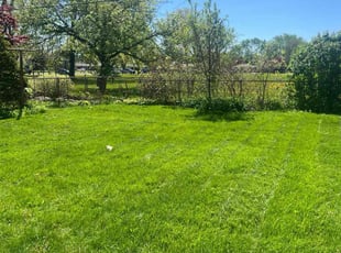 Doris H.'s Lawn Service service result