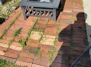 Weeding by Gladis Carcamo for Vicki S. in Katy, TX