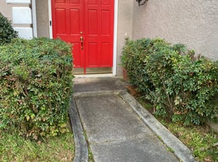 Bush Trimming by Joshua Painter for Odiri O. in Marietta, GA