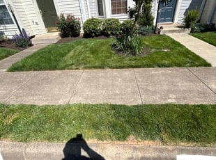 Marshalla T.'s Lawn Care service result