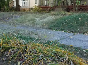 Cleanups by Kyle Anderson for Adrian J. in Minneapolis, MN