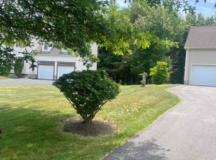 Joi B.'s Lawn Maintenance service result
