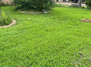 David R.'s Yard Cutting service result