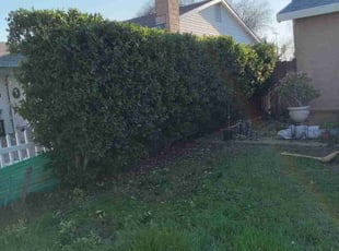 Bush Trimming by Jose Villanueva for Abdolmar D. in Patterson, CA