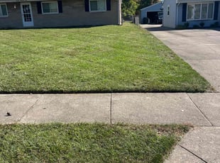 Donna G.'s Lawn Mowing service result