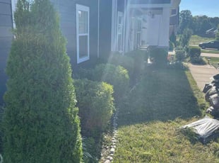 Bush Trimming by Deangelo Sheadrick for Amanda R. in Murfreesboro, TN