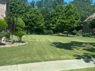 Juan C.'s Lawn Service service result