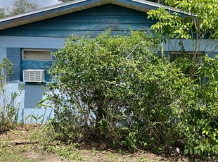 Bush Trimming by Hanif Ibn King for Dee B. in Lakeland, FL