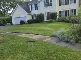 Pat c.'s Lawn Mowing service result