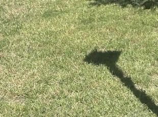 Katherine M.'s Lawn Service service result