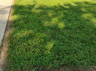 Keith W.'s Lawn Maintenance service result