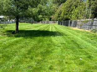 Felicia W.'s Lawn Maintenance service result