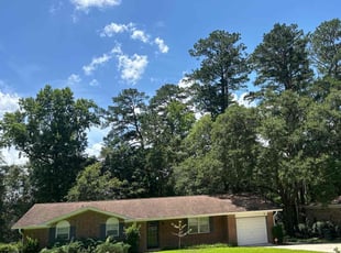 Letha W.'s Lawn Care service result