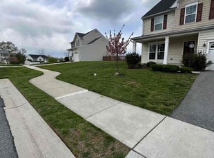 Michelle B.'s Lawn Service service result
