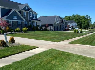 Albert R.'s Grass Cutting service result