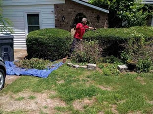 Kimberly D.'s Bush Trimming service result