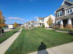 Kelly M.'s Lawn Service service result