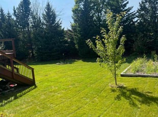 Antwan L.'s Lawn Service service result