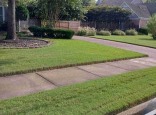 Rafael I.'s Lawn Service service result