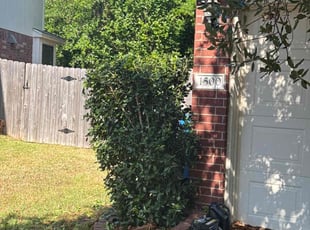 Bush Trimming by Noah Fiechtner for Sam N. in Round Rock, TX