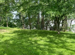 Zachery P.'s Grass Cutting service result