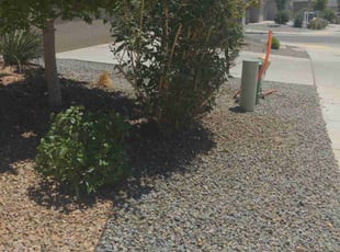 Charlton L.'s Leaf Removal service result