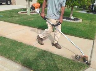 Barbara S.'s Lawn Service service result