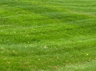 joe b.'s Lawn Service service result