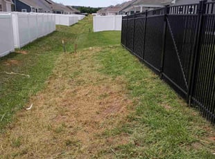 Cleanups by David Fletcher for Thomas B. in Murfreesboro, TN