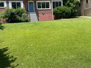 Laura C.'s Yard Cutting service result