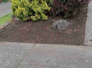Weeding by Robert Marsico for Willow H. in Portland, OR