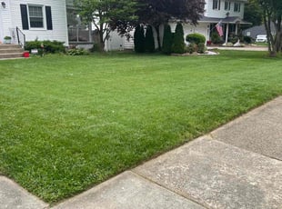 Erik L.'s Grass Cutting service result