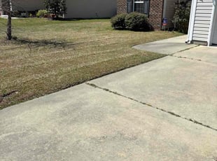 Kaylee P.'s Lawn Care service result