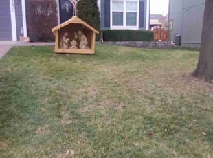 Leaf Removal by KK Green Grass for Holly T. in Olathe, KS
