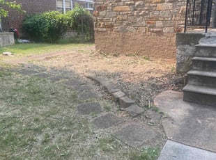 Weeding by David Bazemore for Wolf S. in Baltimore, MD