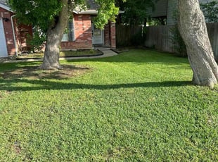Jason E.'s Lawn Mowing service result