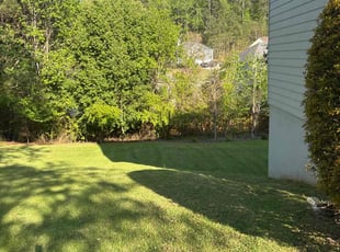 Christell L.'s Lawn Care service result