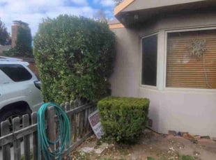 Bush Trimming by David Sherwood for Brandy H. in Millcreek, UT