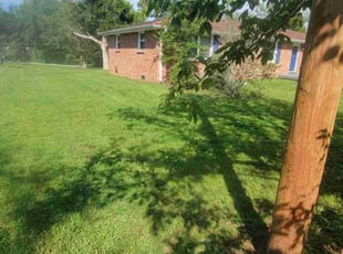 Justin S.'s Lawn Maintenance service result