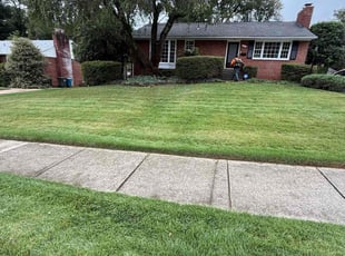 Monica W.'s Lawn Maintenance service result