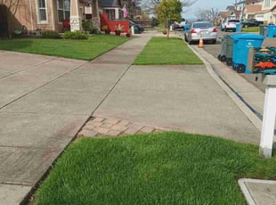Jean S.'s Lawn Maintenance service result