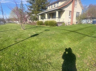 Millie G.'s Lawn Service service result