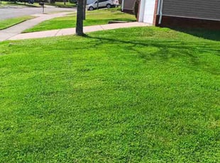 Daryle J.'s Lawn Mowing service result
