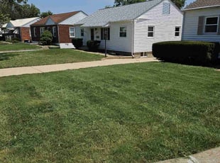 Timothy C.'s Lawn Mowing service result