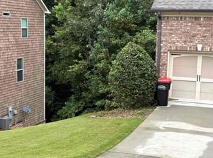 Mark F.'s Bush Trimming service result